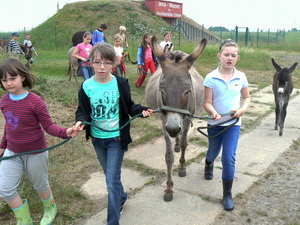 Ausflug mit den Eseln und Ponys