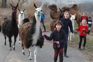 Lamas und Kinder